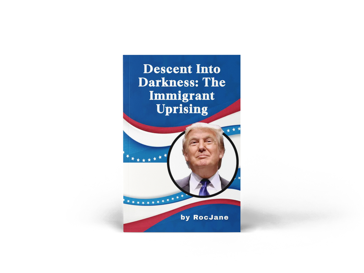 Decent Into Darkness The Immigrant Uprising E-Book