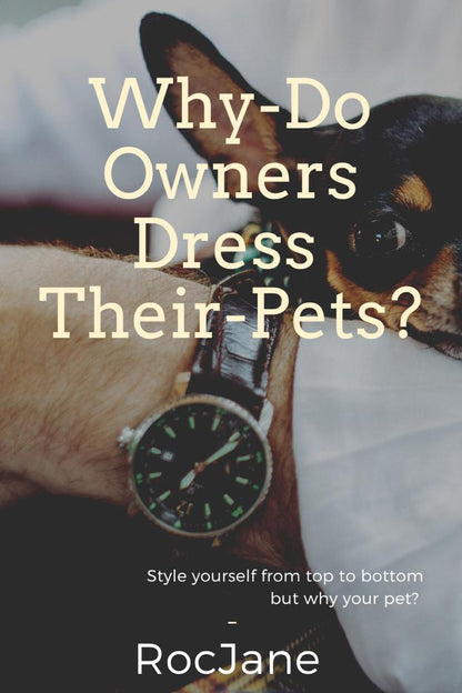 Why Do Owners Dress Their Pets? E-Book